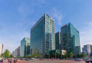 云南普洱茶七子饼茶357克价格