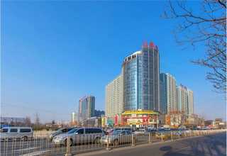 苏州智能兼容自动装盒机