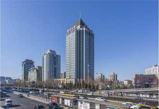 上海金属钴价目